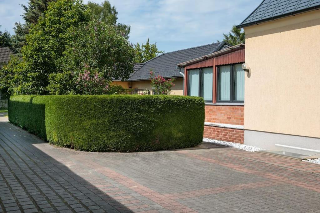 Charmantes Townhaus Mit Garten, W-Lan & Netflix Potsdam Exterior foto